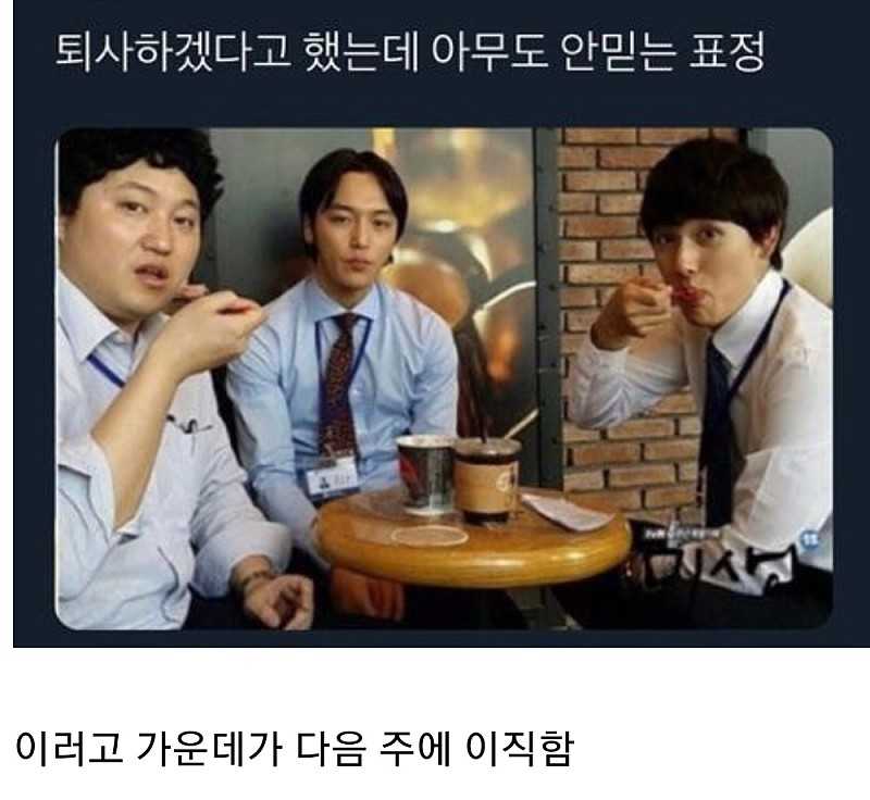 퇴사하겠다고 했는데 아무도 안 믿는 표정