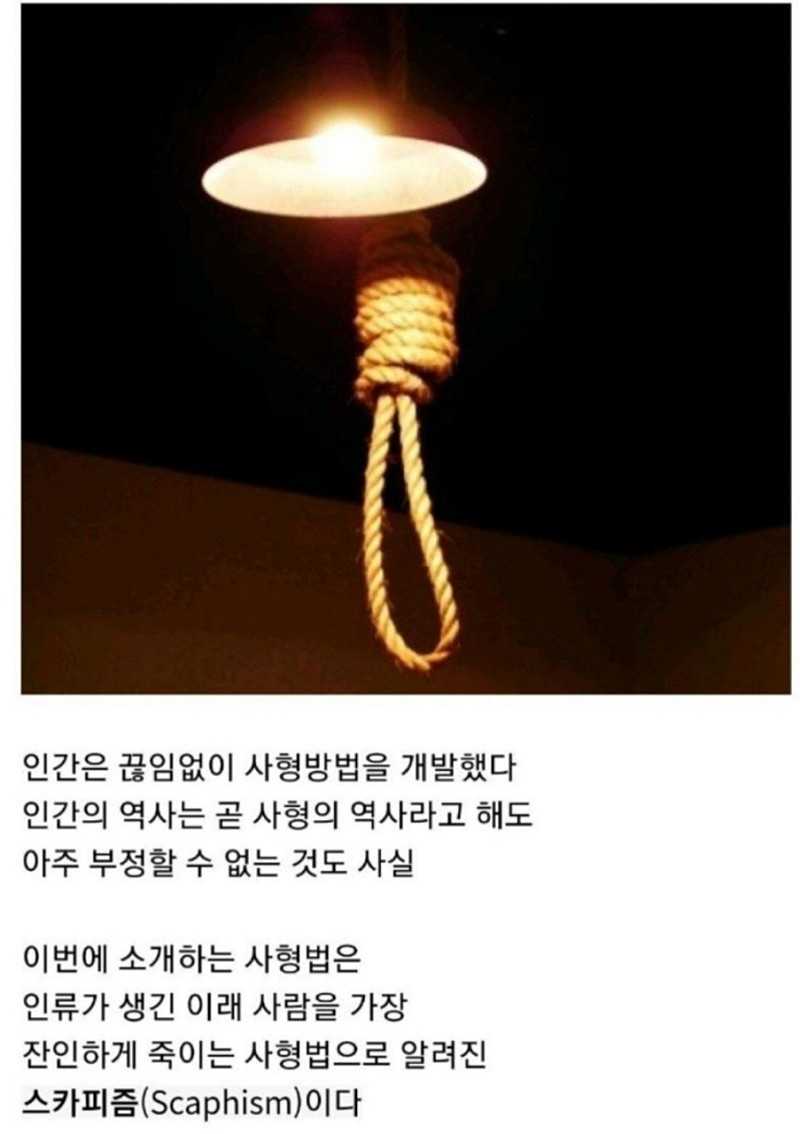 혐주의)역사상 가장 잔인한 형벌