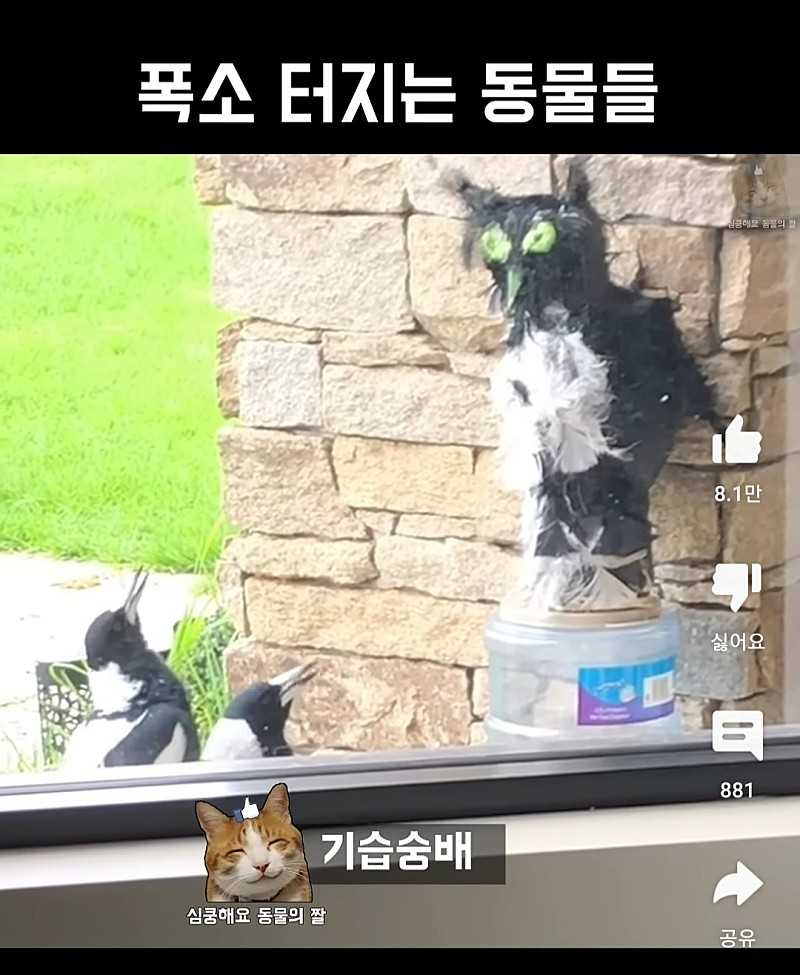 한번 봐쏴봐~~~