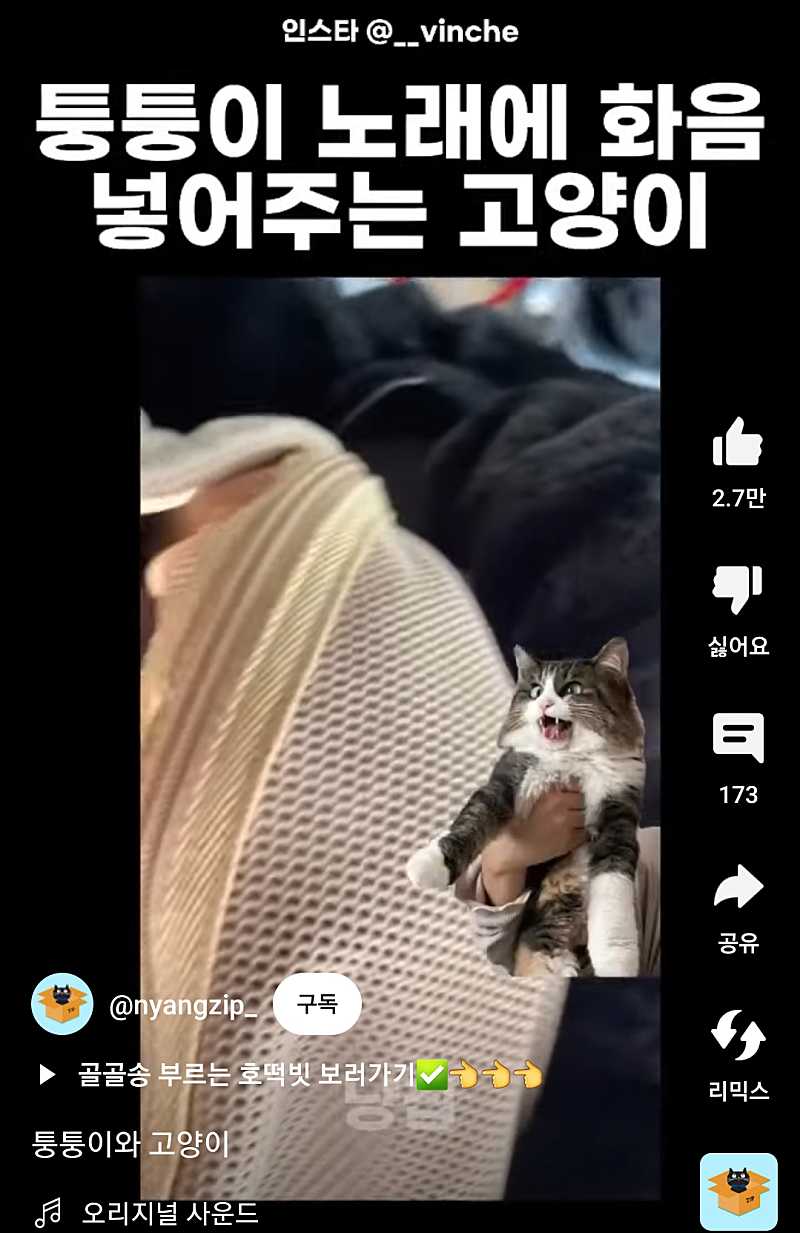 집사와 함께 노래하는 냥이