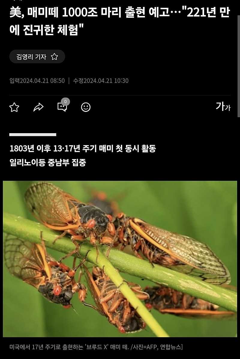 천조국 근황 ㄷㄷㄷ ㄷㄷ.jpg